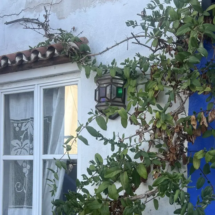 Sale of townhouse in Marbella
