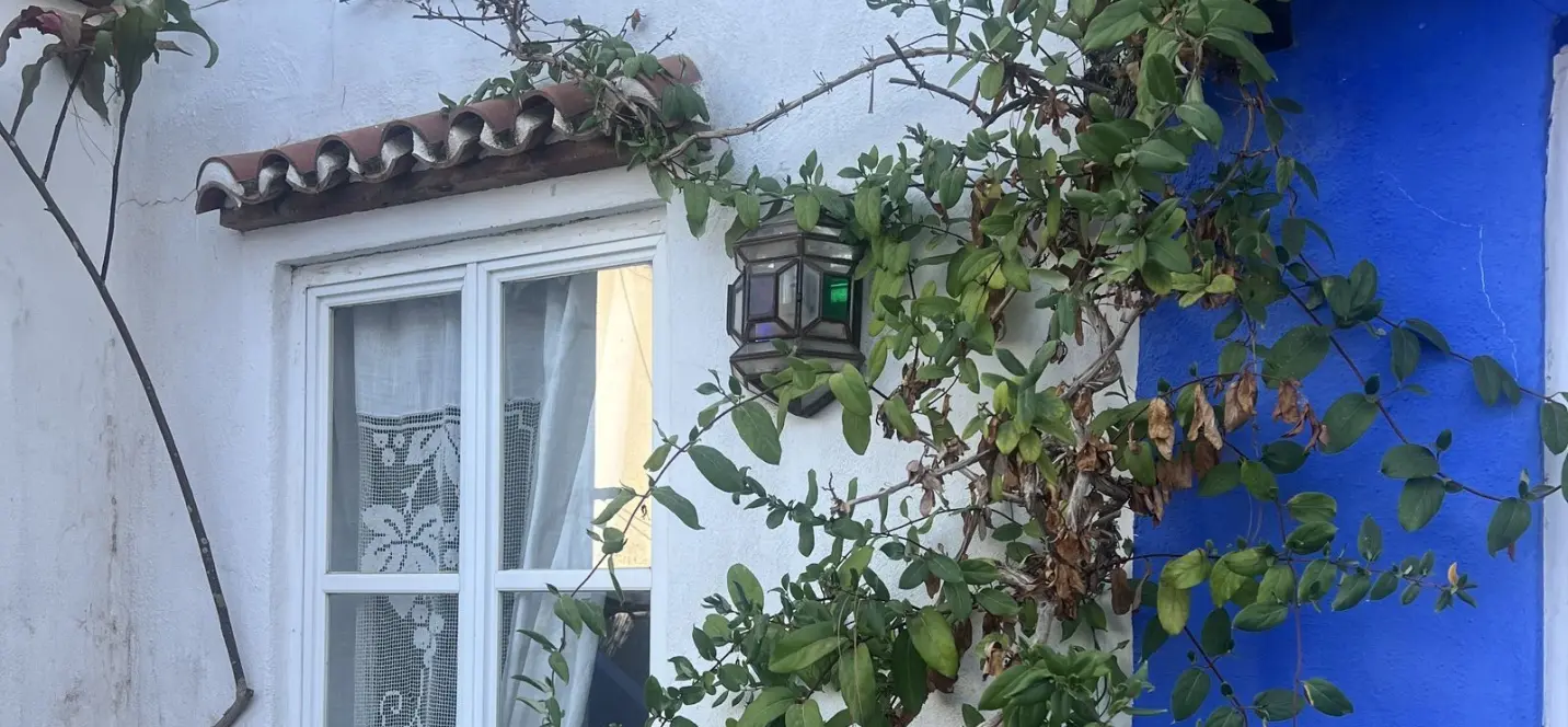 Sale of townhouse in Marbella 4