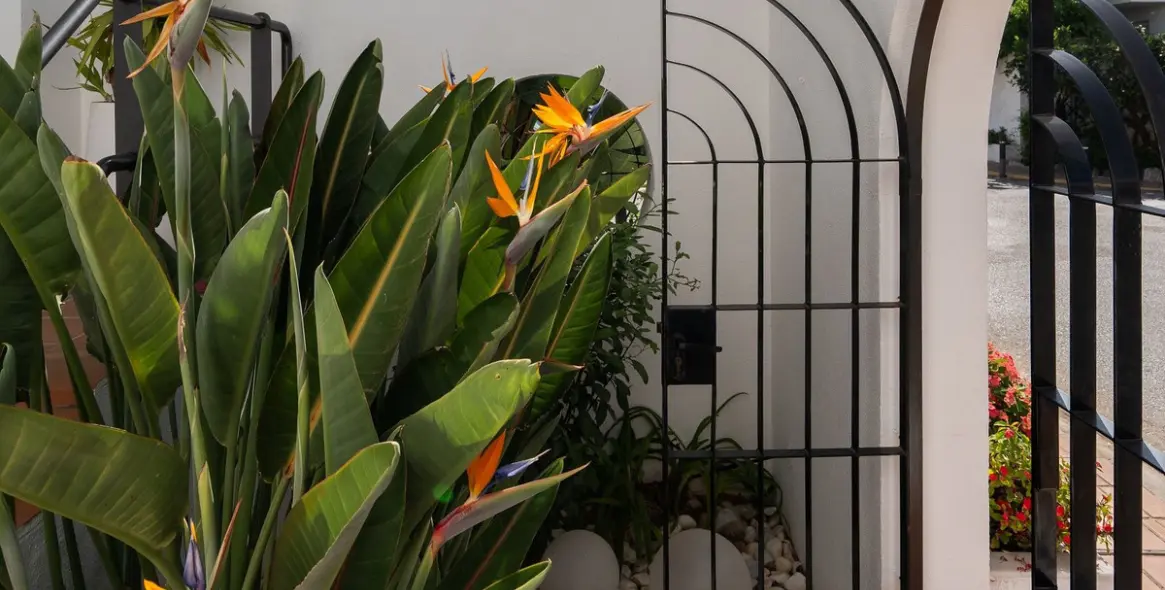 Продажа таунхауса в Costalita 30