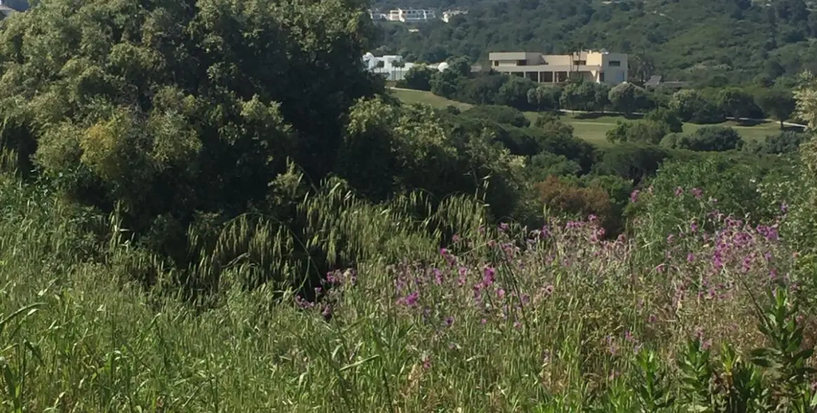 Venta de parcela residencial en Sotogrande 4