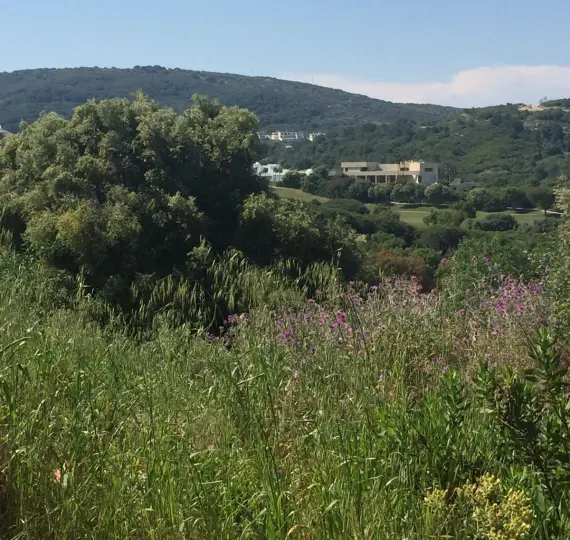 Venta de parcela residencial en Sotogrande