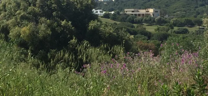 Venta de parcela residencial en Sotogrande 3