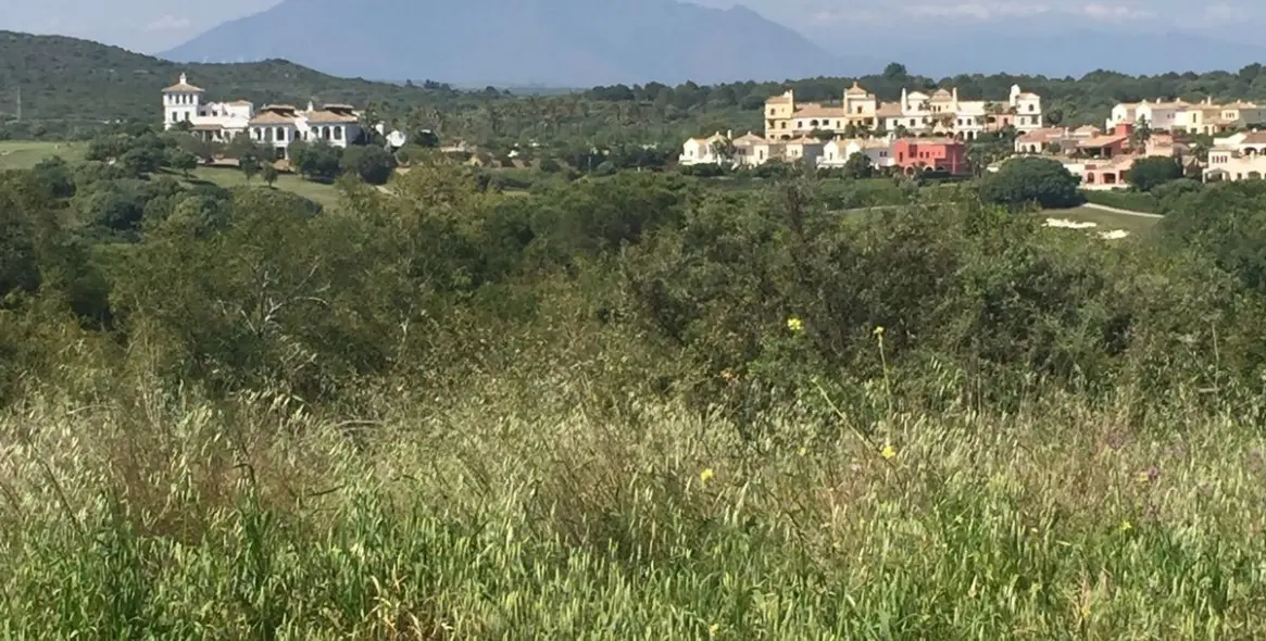 Venta de parcela residencial en Sotogrande 5