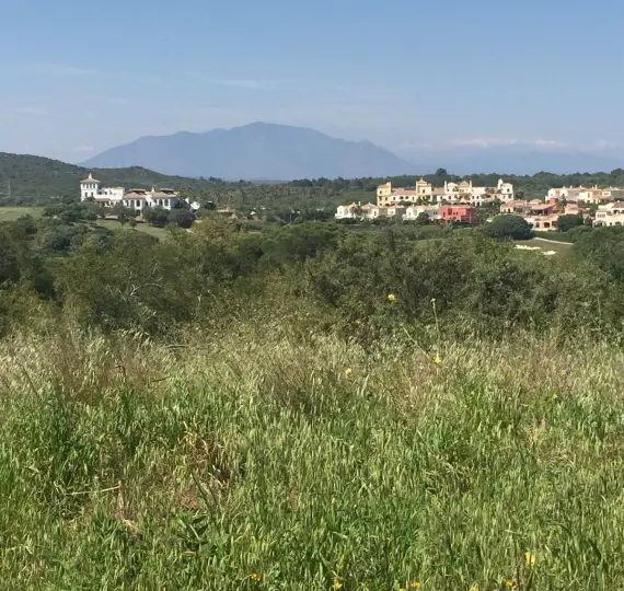 Venta de parcela residencial en Sotogrande