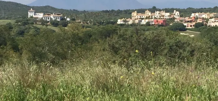 Venta de parcela residencial en Sotogrande 4