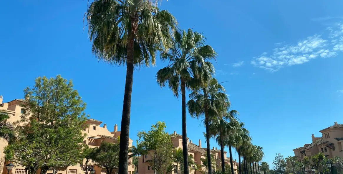 Sale of penthouse duplex in Hacienda del Sol 9