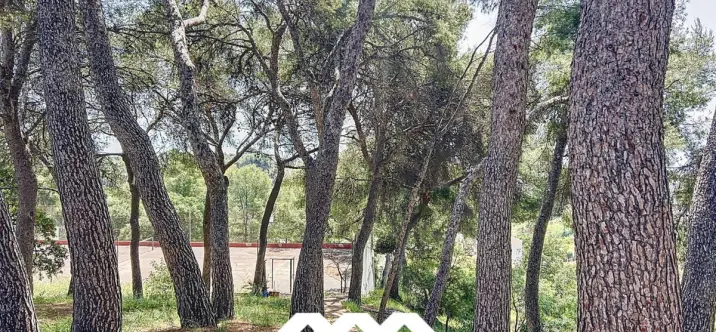 Продажа  отдельно стоящей виллы в Nerja 4