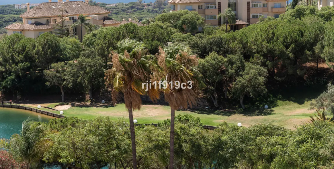 Sale of middle floor apartment in Elviria 24