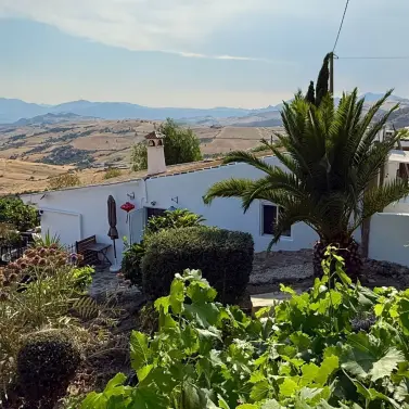 Продажа финки в Villanueva De La Concepcion