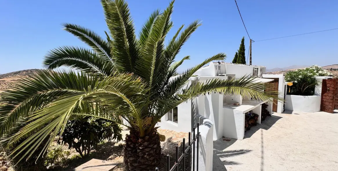 Продажа финки в Villanueva De La Concepcion 16