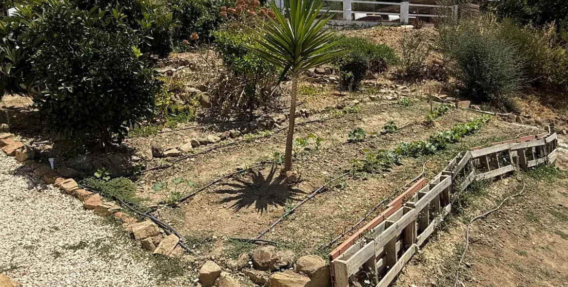 Продажа финки в Villanueva De La Concepcion 35