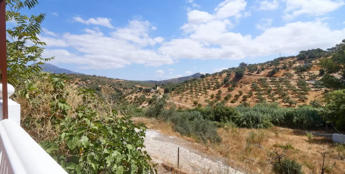 Продажа  жилого участка в Guaro 26