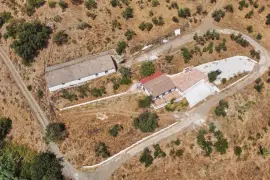 Image 4 thumb