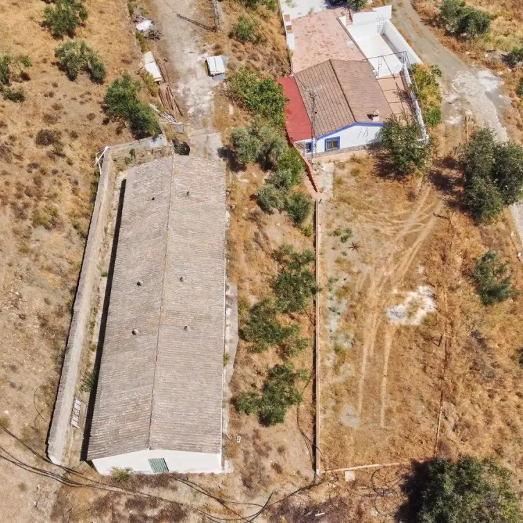 Sale of residential plot in Guaro