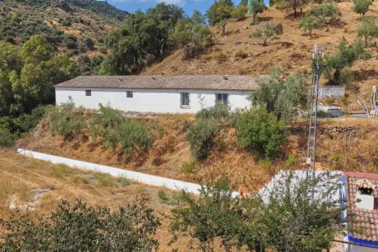 Image 28 thumb