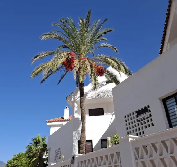 Sale of middle floor apartment in Nueva Andalucía