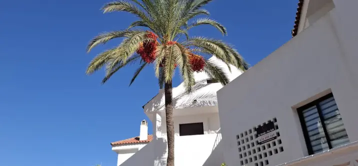 Sale of middle floor apartment in Nueva Andalucía 4