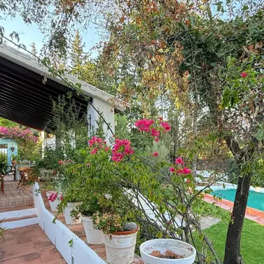 Продажа финки в Alora