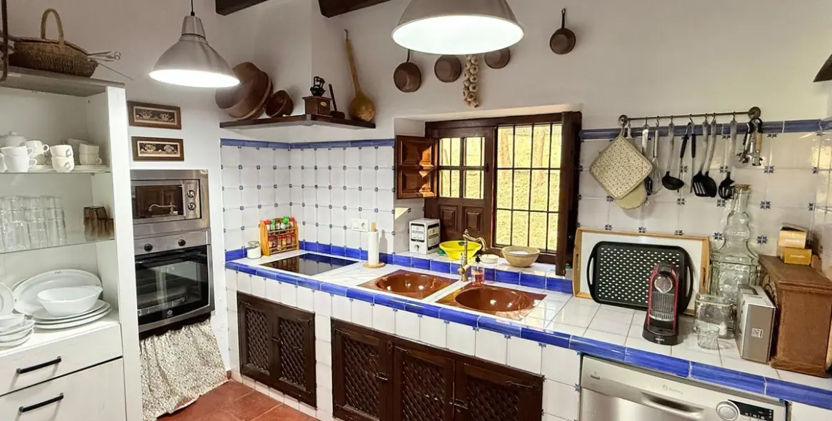 Продажа финки в Alora 13