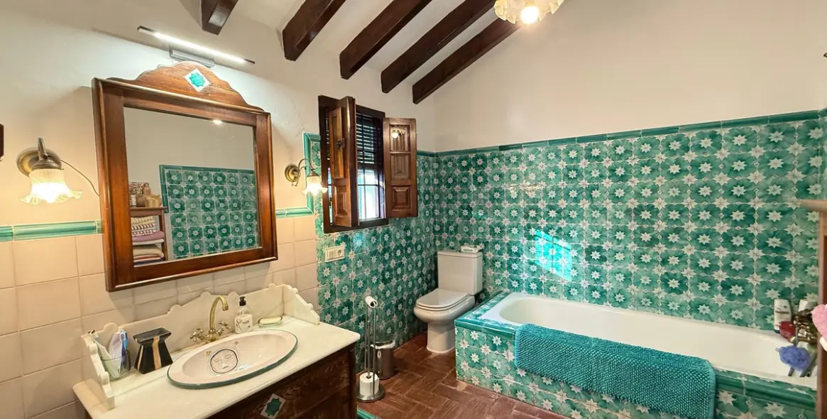 Продажа финки в Alora 19