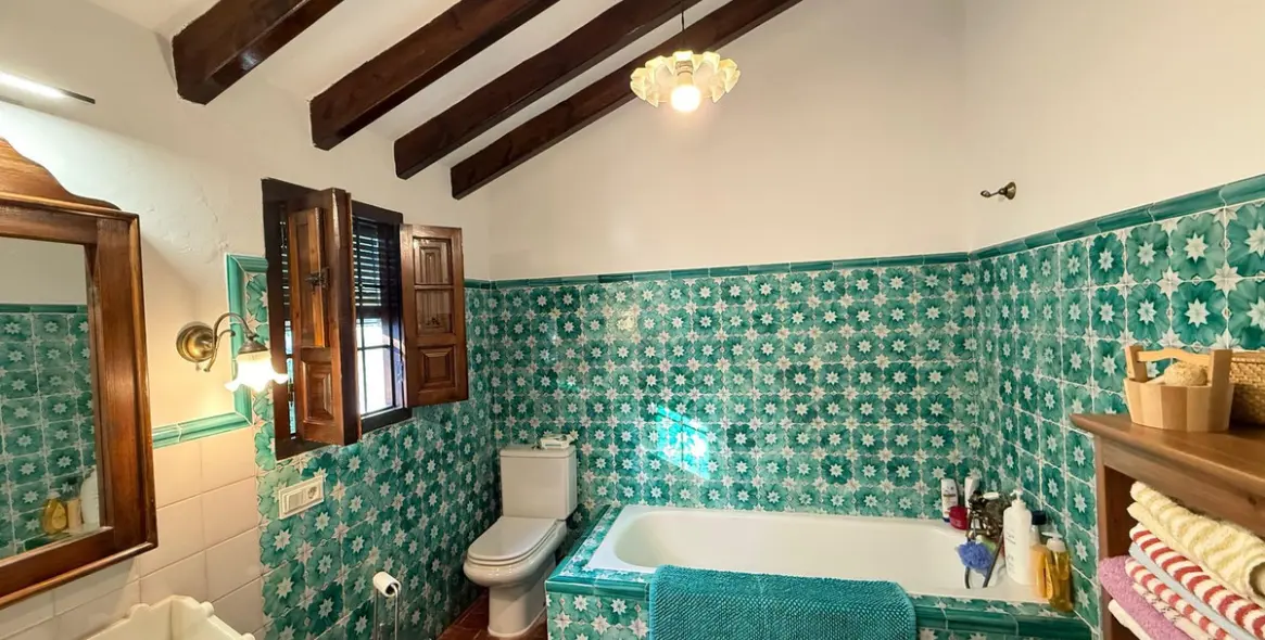 Продажа финки в Alora 20