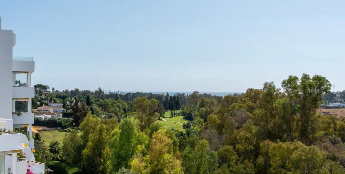 Sale of middle floor apartment in Guadalmina Alta 5