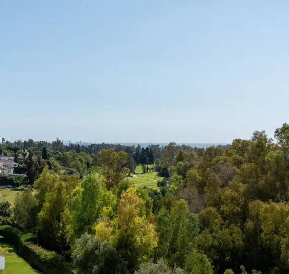 Sale of middle floor apartment in Guadalmina Alta