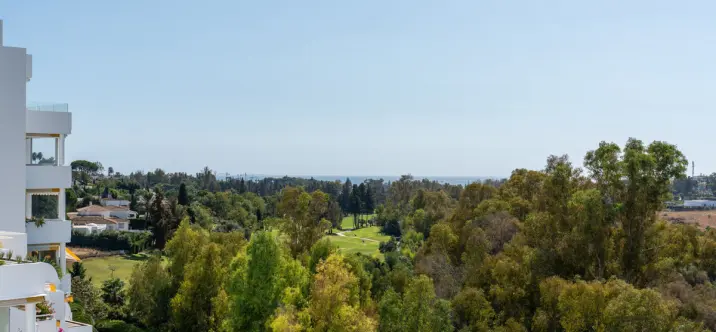 Sale of middle floor apartment in Guadalmina Alta 4