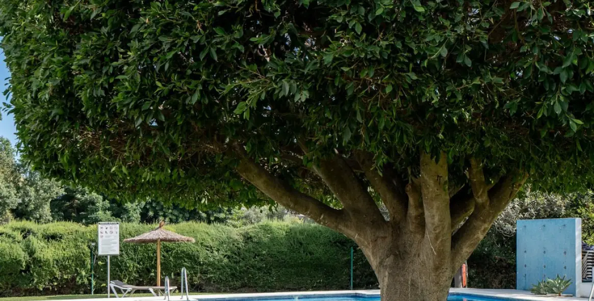 Продажа апартаментов на среднем этаже в Guadalmina Alta 22