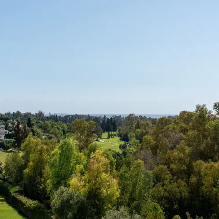 Sale of middle floor apartment in Guadalmina Alta