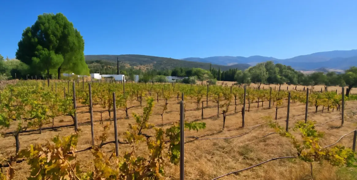 Продажа  отдельно стоящей виллы в Ronda 30