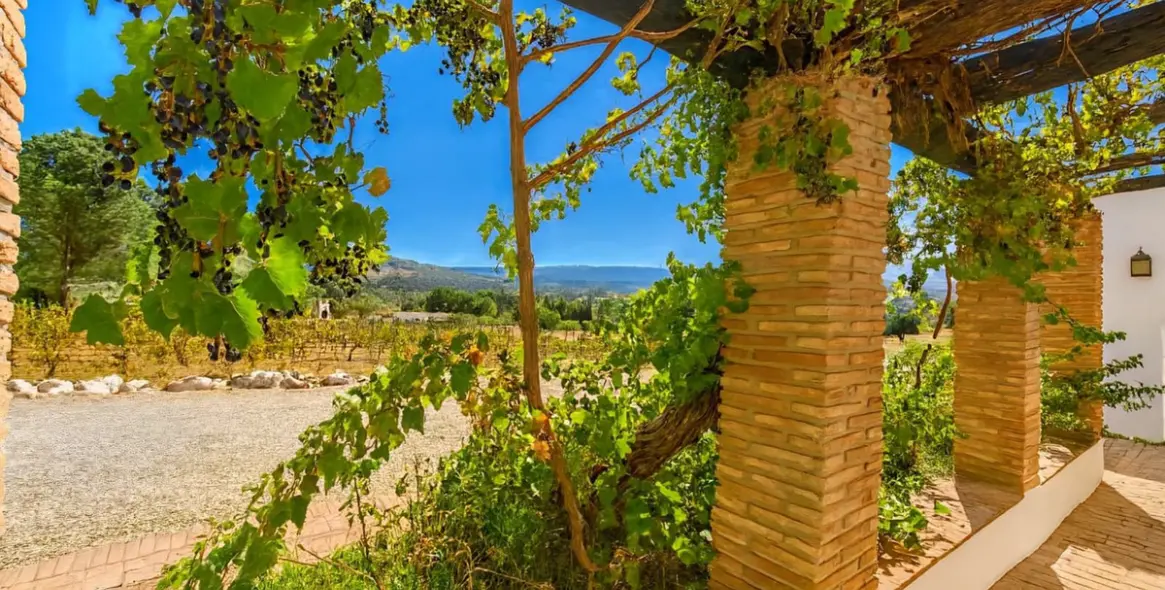 Продажа  отдельно стоящей виллы в Ronda 39