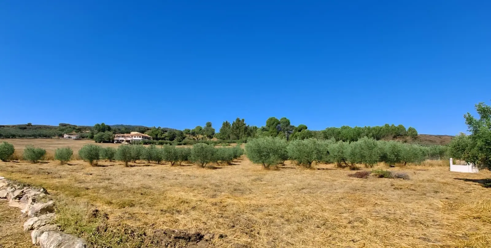 Venta de villa independiente en Ronda 37