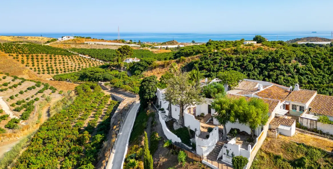 Sale of finca - cortijo in Almayate 5