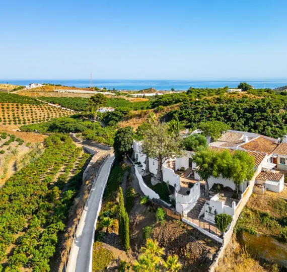 Sale of finca - cortijo in Almayate