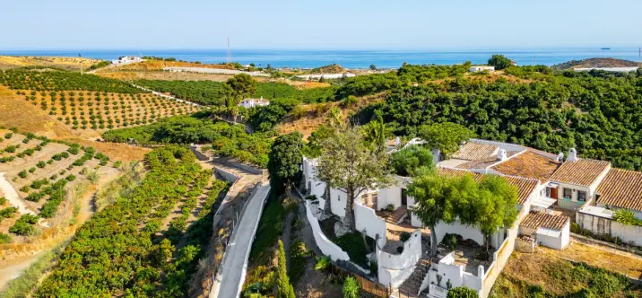Sale of finca - cortijo in Almayate 4