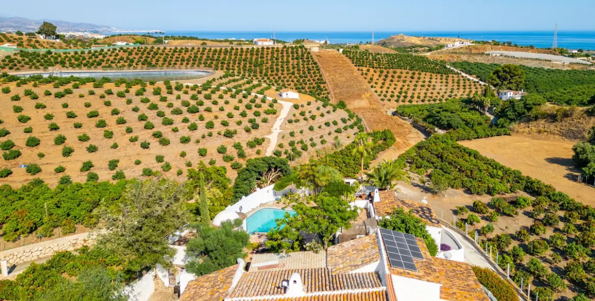 Sale of finca - cortijo in Almayate 6