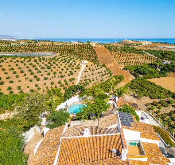 Sale of finca - cortijo in Almayate
