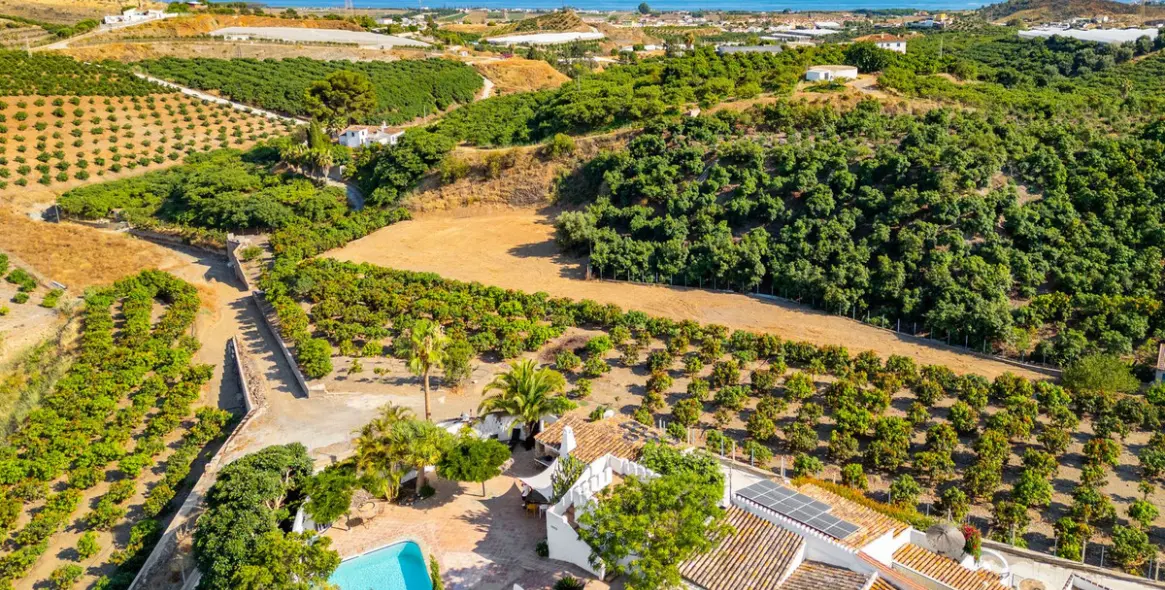 Sale of finca - cortijo in Almayate 7