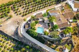 Image 8 thumb