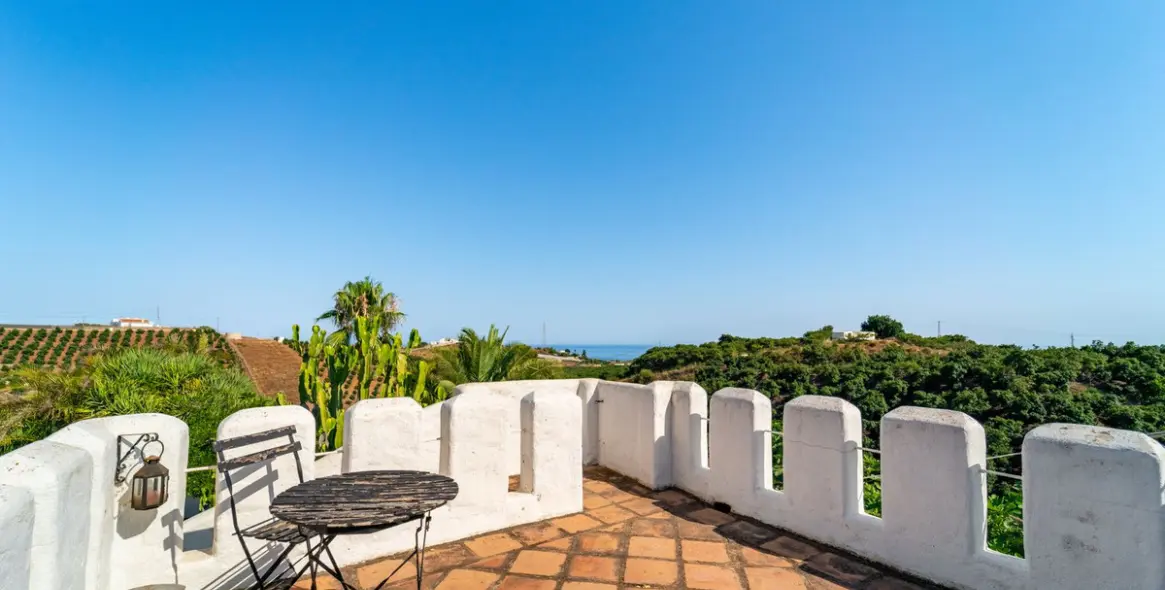 Sale of finca - cortijo in Almayate 27
