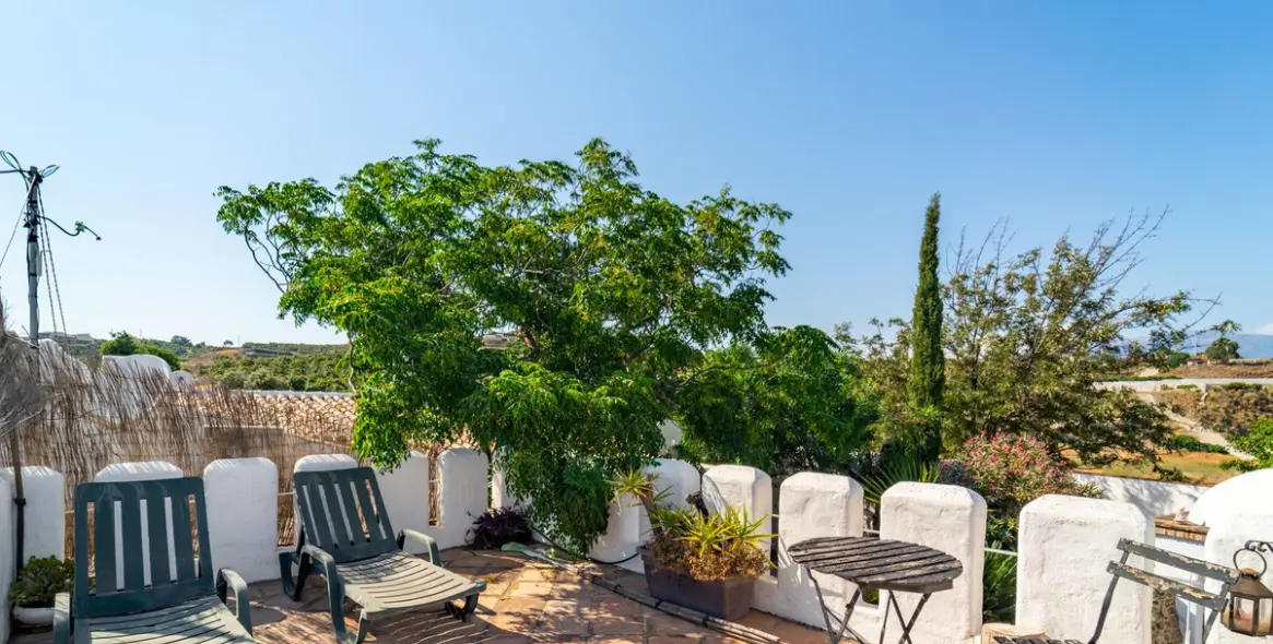 Sale of finca - cortijo in Almayate 28