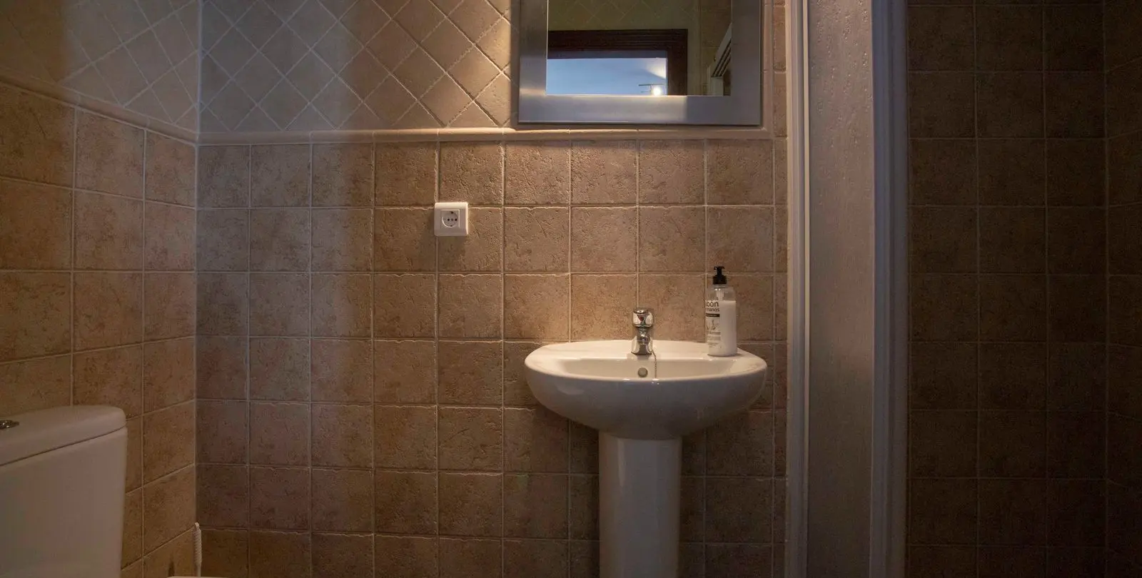 Sale of hostel in Pizarra 26