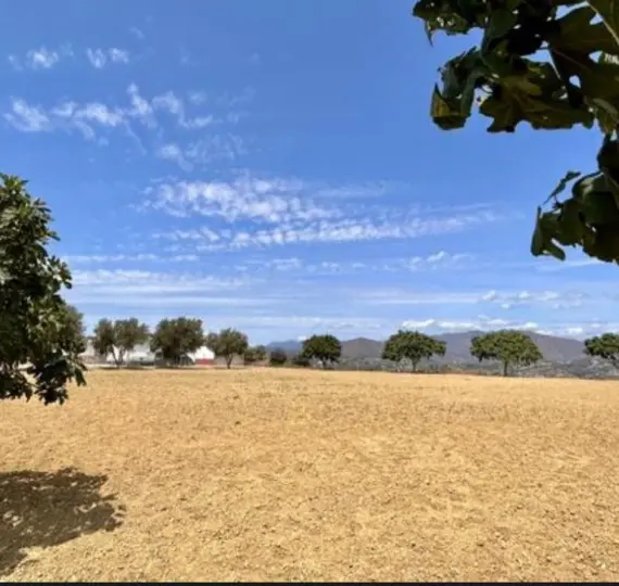 Sale of residential plot in Mijas