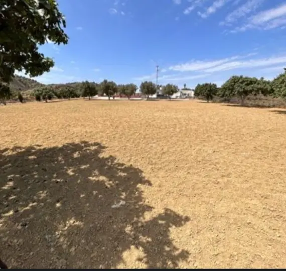 Sale of residential plot in Mijas
