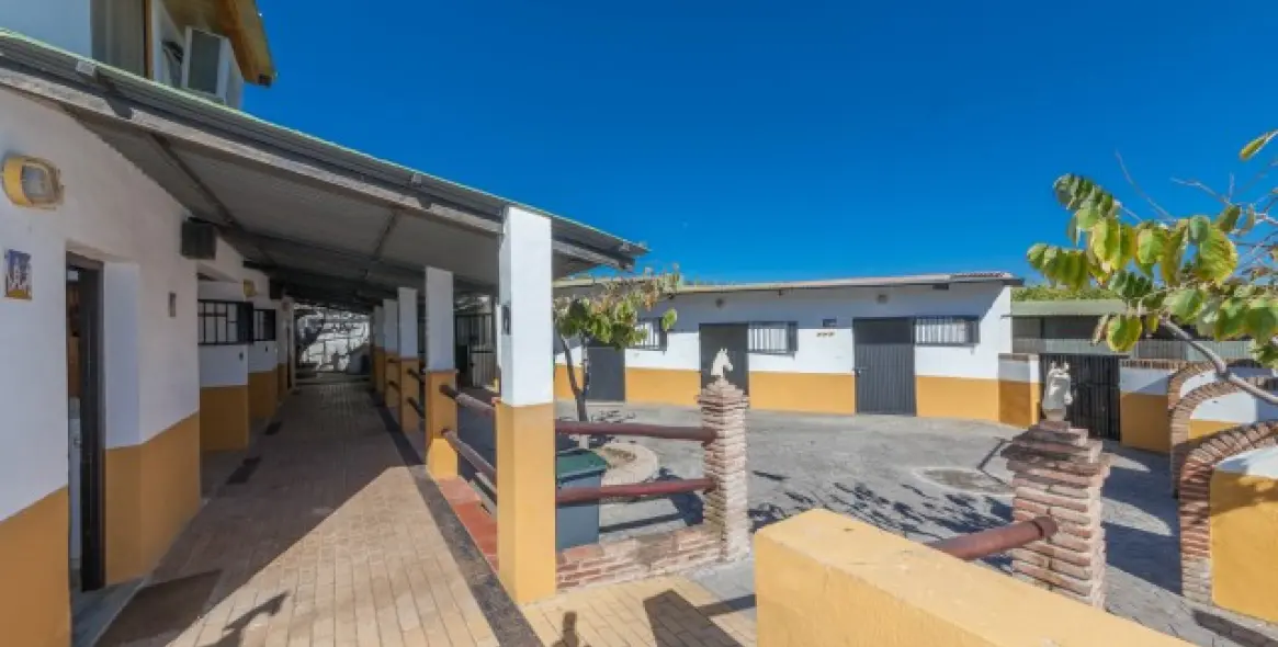 Sale of detached villa in El Padron 3