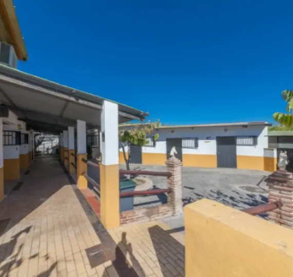 Sale of detached villa in El Padron