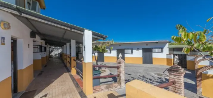 Sale of detached villa in El Padron 2