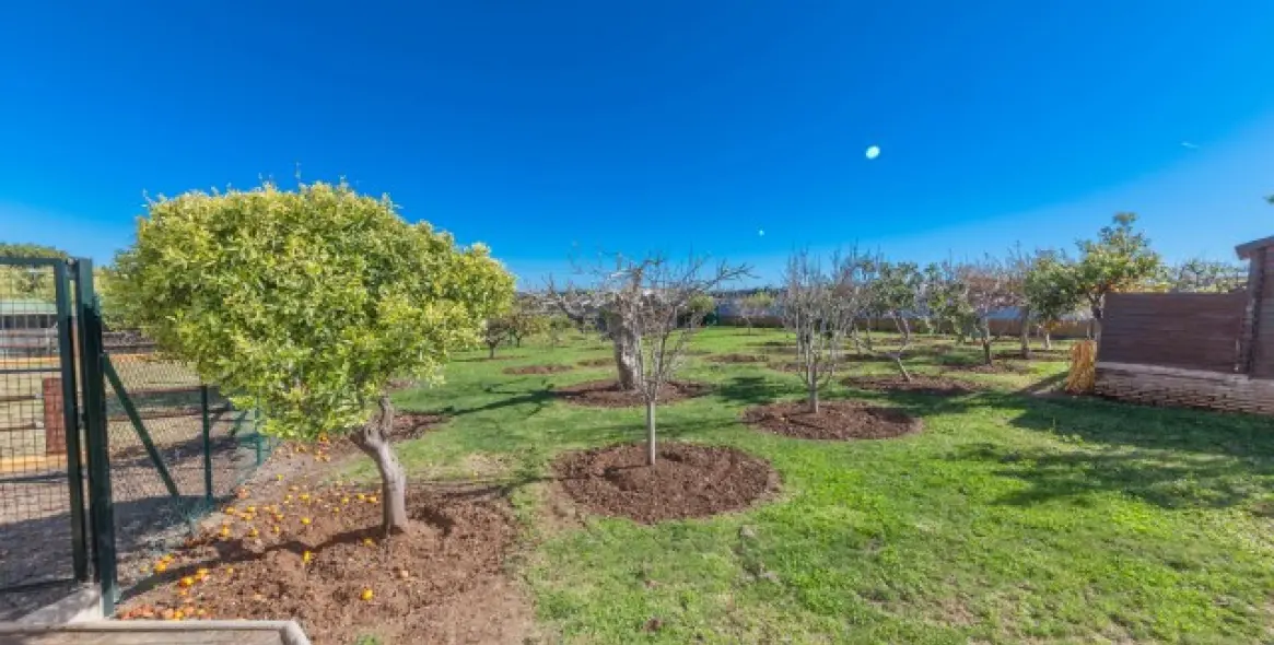 Sale of detached villa in El Padron 9