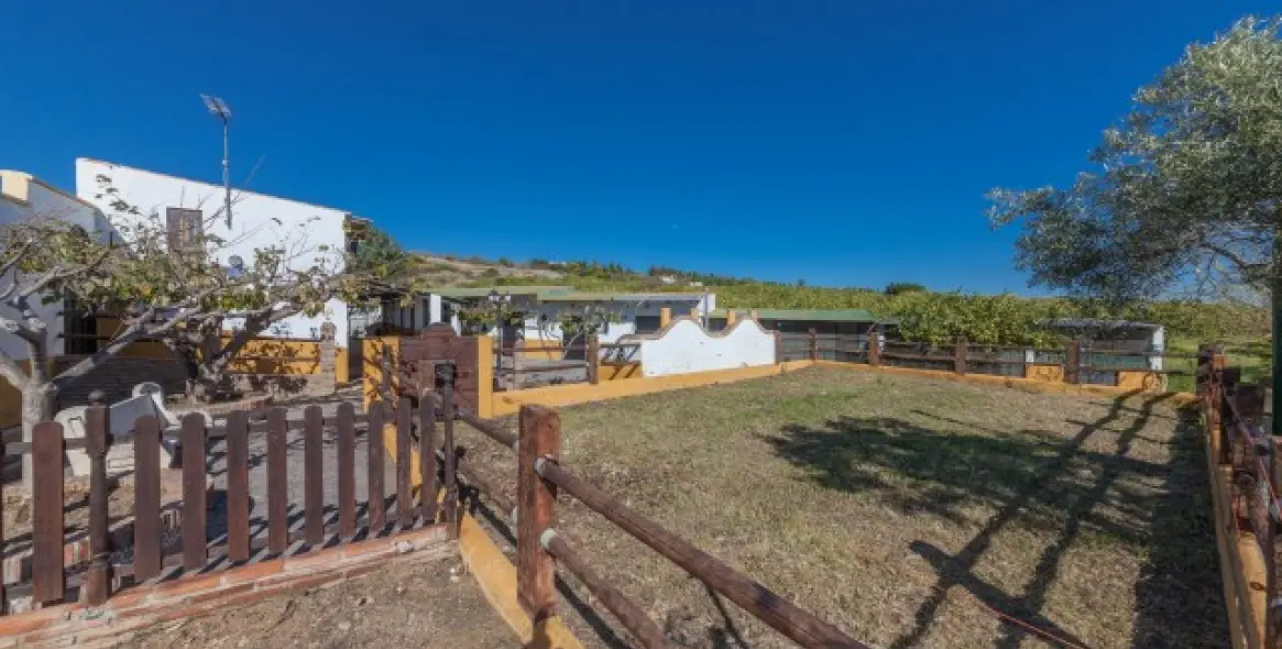 Sale of detached villa in El Padron 11